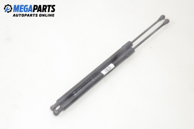 Амортисьор за багажник/товарно пространство за Renault Modus / Grand Modus Minivan (09.2004 - 09.2012)