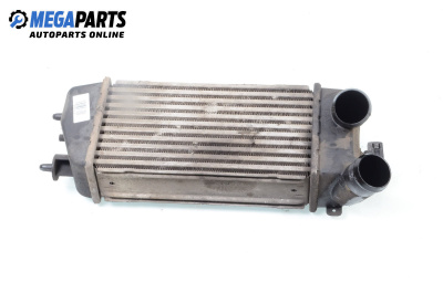 Интеркулер за Citroen C3 Hatchback I (02.2002 - 11.2009) 1.4 16V HDi, 90 к.с.