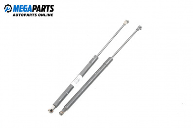 Амортисьор за багажник/товарно пространство за Audi A4 Avant B7 (11.2004 - 06.2008)