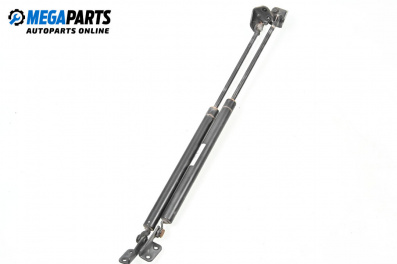 Амортисьор за багажник/товарно пространство за Hyundai Terracan SUV (06.2001 - 12.2008)