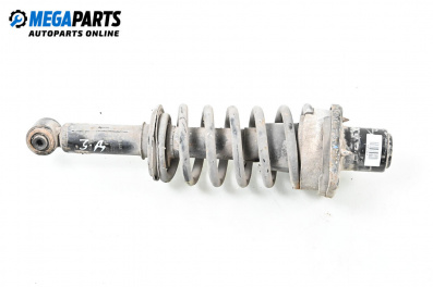 Макферсон за Audi A6 Avant C5 (11.1997 - 01.2005), комби, позиция: задна, дясна