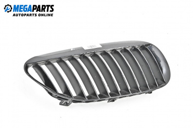 Решетка за BMW 6 Series E63 Coupe E63 (01.2004 - 12.2010), купе, позиция: дясна