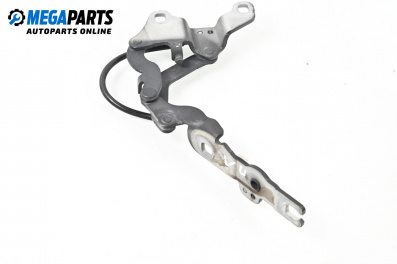 Панта преден капак за BMW 1 Series E87 (11.2003 - 01.2013), 4+1 вр., хечбек, позиция: лява