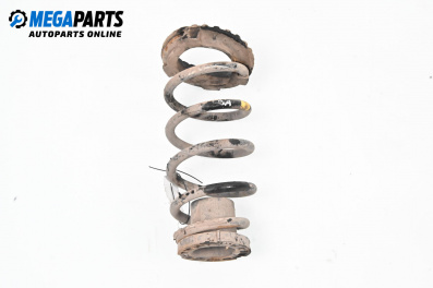 Пружина за ходова част за Fiat Punto Hatchback II (09.1999 - 07.2012), хечбек, позиция: задна