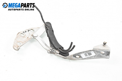 Панта преден капак за Volkswagen Phaeton Sedan (04.2002 - 03.2016), 4+1 вр., седан, позиция: дясна