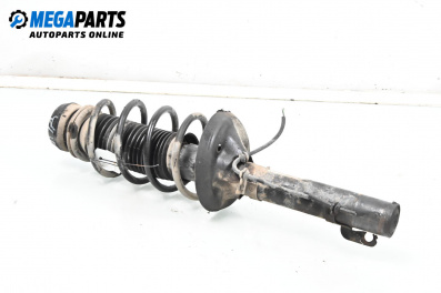 Макферсон за Audi A3 Hatchback I (09.1996 - 05.2003), хечбек, позиция: предна, дясна