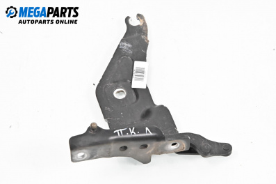 Панта преден капак за BMW X6 Series E71, E72 (05.2008 - 06.2014), 4+1 вр., джип, позиция: лява