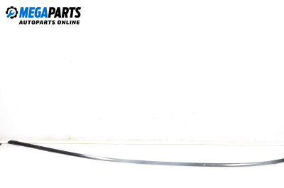 Лайсна таван за BMW 7 Series E65 (11.2001 - 12.2009), седан, позиция: лява