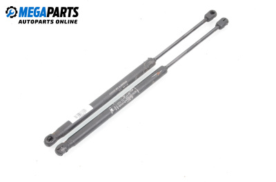 Амортисьор за багажник/товарно пространство за Fiat Punto Hatchback II (09.1999 - 07.2012)