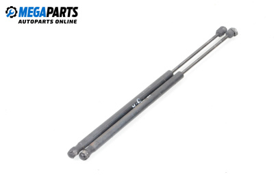 Амортисьор за багажник/товарно пространство за Smart Forfour Hatchback 454 (01.2004 - 06.2006)