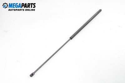 Амортисьор преден капак за Mercedes-Benz SLK-Class Cabrio (R170) (04.1996 - 04.2004)