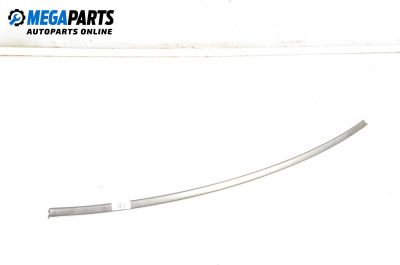 Външна лайсна врата за Mercedes-Benz CLK-Class Coupe (C209) (06.2002 - 05.2009), купе, позиция: предна, лява