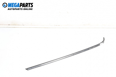 Външни лайсни за Mini Hatchback I (R50, R53) (06.2001 - 09.2006), хечбек, позиция: лява