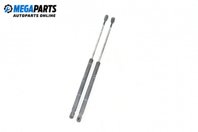 Амортисьор за багажник/товарно пространство за Ford Focus I Estate (02.1999 - 12.2007)