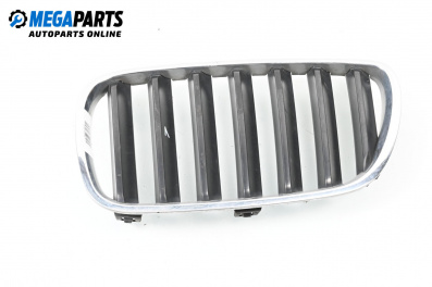 Решетка за BMW X3 Series E83 (01.2004 - 12.2011), джип, позиция: лява