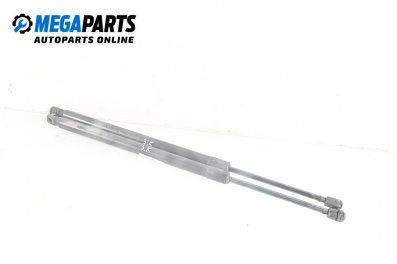 Амортисьор за багажник/товарно пространство за Mercedes-Benz M-Class SUV (W164) (07.2005 - 12.2012)