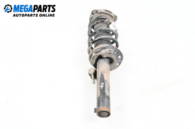 Макферсон за Audi A3 Hatchback II (05.2003 - 08.2012), хечбек, позиция: предна, дясна