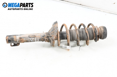 Макферсон за Audi A3 Hatchback I (09.1996 - 05.2003), хечбек, позиция: предна, дясна