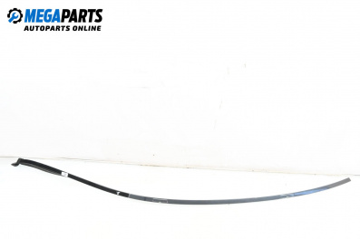 Лайсна таван за Mercedes-Benz S-Class Sedan (W221) (09.2005 - 12.2013), седан, позиция: дясна