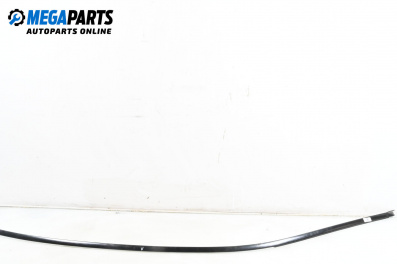 Лайсна таван за BMW 7 Series E65 (11.2001 - 12.2009), седан, позиция: лява