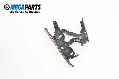 Панта преден капак за Mercedes-Benz C-Class Sedan (W204) (01.2007 - 01.2014), 4+1 вр., седан, позиция: лява