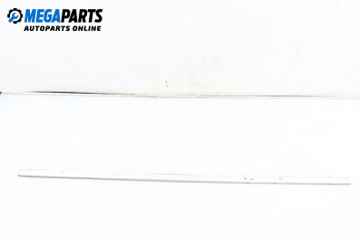 Външни лайсни за BMW X5 Series E53 (05.2000 - 12.2006), джип, позиция: лява