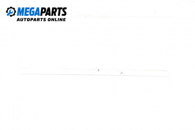 Външна лайсна врата за Audi A3 Hatchback II (05.2003 - 08.2012), хечбек, позиция: дясна