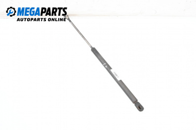 Амортисьор за багажник/товарно пространство за Audi A3 Hatchback I (09.1996 - 05.2003)