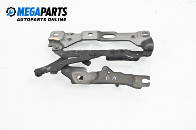 Панта преден капак за BMW 7 Series F01 (02.2008 - 12.2015), 4+1 вр., седан, позиция: лява