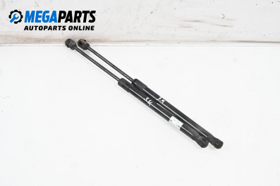 Амортисьор за багажник/товарно пространство за Renault Megane II Hatchback (07.2001 - 10.2012)