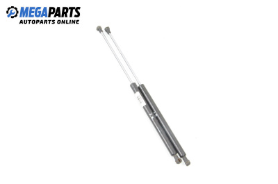 Амортисьор за багажник/товарно пространство за Renault Laguna II Hatchback (03.2001 - 12.2007)