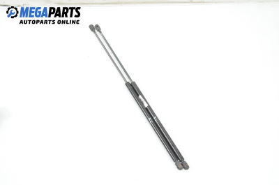 Амортисьор за багажник/товарно пространство за Mercedes-Benz M-Class SUV (W163) (02.1998 - 06.2005)