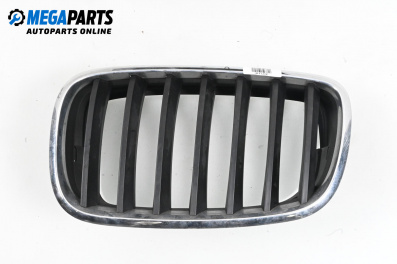 Решетка за BMW X5 Series E70 (02.2006 - 06.2013), джип, позиция: лява
