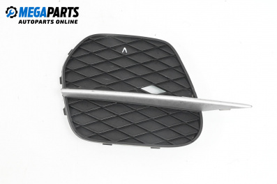 Решетка в броня за BMW X5 Series E70 (02.2006 - 06.2013), джип, позиция: предна