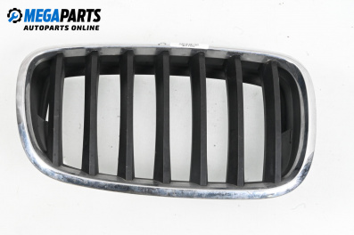 Решетка за BMW X5 Series E70 (02.2006 - 06.2013), джип, позиция: дясна
