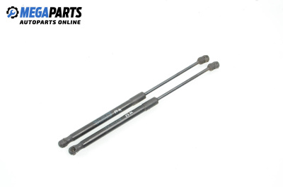 Амортисьор преден капак за BMW X5 Series E70 (02.2006 - 06.2013)