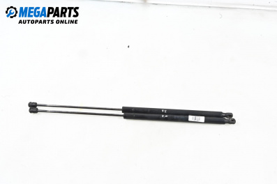 Амортисьор за багажник/товарно пространство за Ford Kuga SUV I (02.2008 - 11.2012)