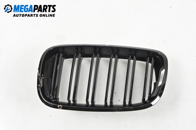 Решетка за BMW X5 Series E70 (02.2006 - 06.2013), джип, позиция: лява