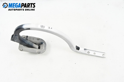 Панта заден капак за BMW 5 Series F10 Sedan F10 (01.2009 - 02.2017), 4+1 вр., седан, позиция: лява