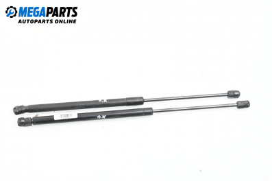 Амортисьор преден капак за Audi Q7 SUV I (03.2006 - 01.2016)