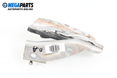 Панта преден капак за Volkswagen Phaeton Sedan (04.2002 - 03.2016), 4+1 вр., седан, позиция: дясна