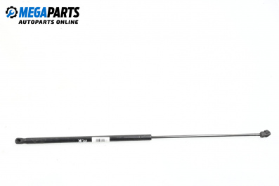 Амортисьор преден капак за Audi A4 Avant B6 (04.2001 - 12.2004)