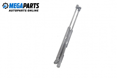 Амортисьор за багажник/товарно пространство за Renault Megane II Coupe-Cabriolet (09.2003 - 03.2010)