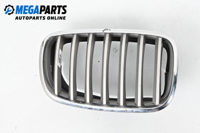Решетка за BMW X5 Series E70 (02.2006 - 06.2013), джип, позиция: дясна