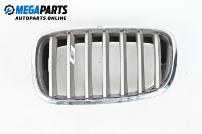 Решетка за BMW X5 Series E70 (02.2006 - 06.2013), джип, позиция: лява