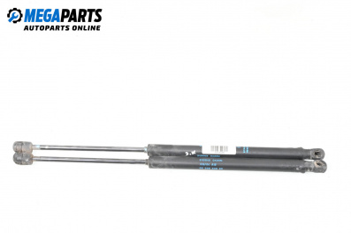 Амортисьор за багажник/товарно пространство за Citroen C3 Hatchback I (02.2002 - 11.2009)