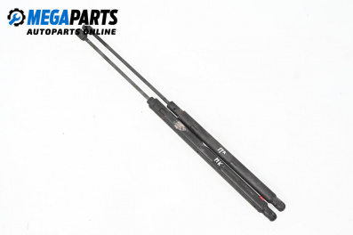 Амортисьор преден капак за Mercedes-Benz C-Class Sedan (W203) (05.2000 - 08.2007)