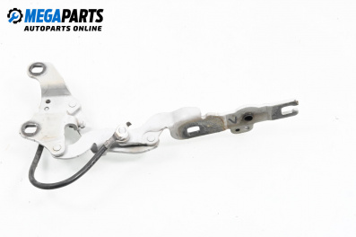 Панта преден капак за BMW 1 Series E87 (11.2003 - 01.2013), 4+1 вр., хечбек, позиция: лява