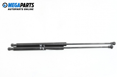 Амортисьор за багажник/товарно пространство за Peugeot 206 Hatchback (08.1998 - 12.2012)