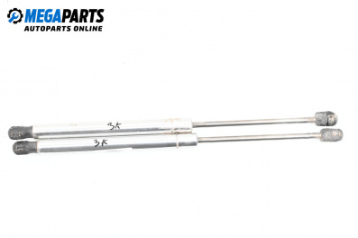 Амортисьор за багажник/товарно пространство за Audi A8 Sedan 4E (10.2002 - 07.2010)